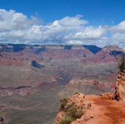 The trail/
		    