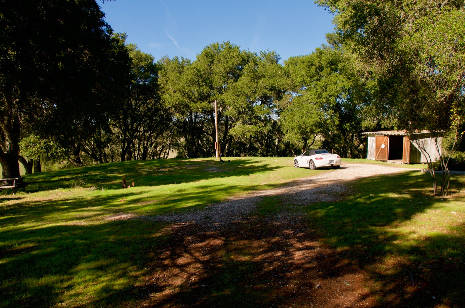 Northeast: Flat area (Note: the shed and pole will be removed)/