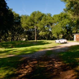 Northeast: Flat area (Note: the shed and pole will be removed)/
		    