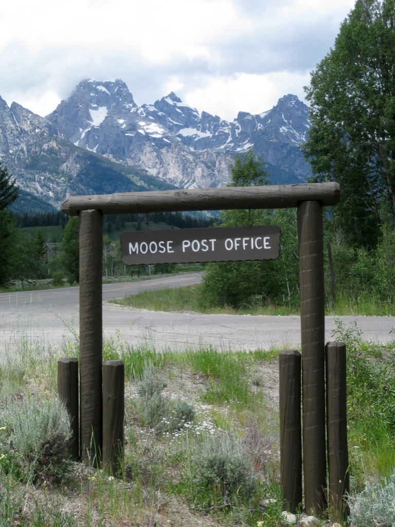 Who wouldn't love a town called Moose?!/