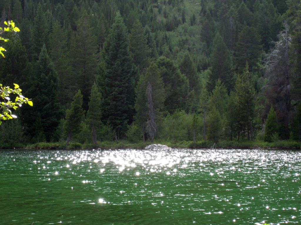 Assana trying to capture the sparkles/