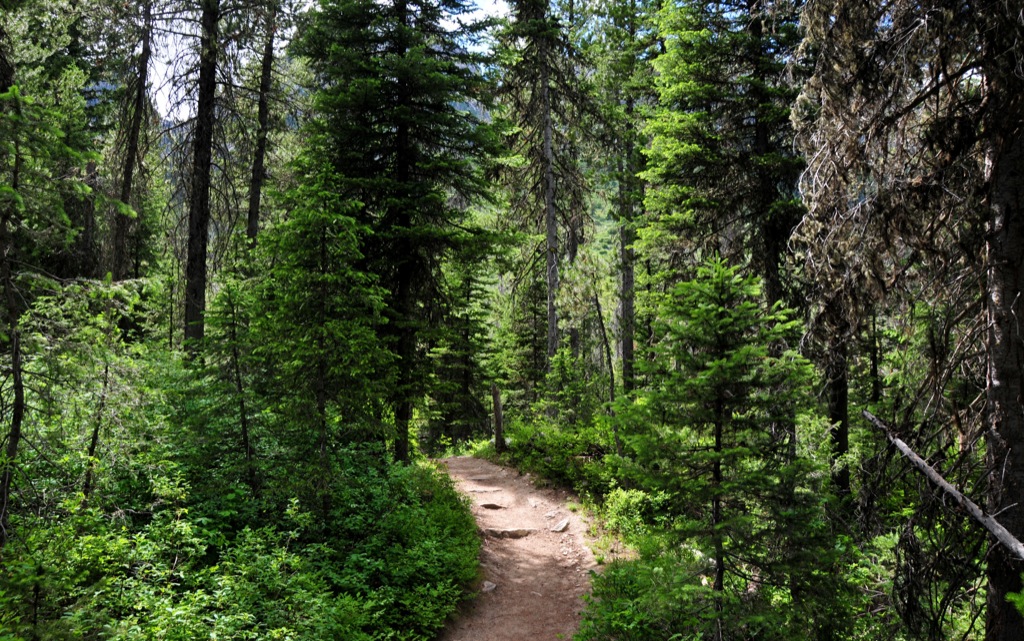 Where we "hiked" :)/