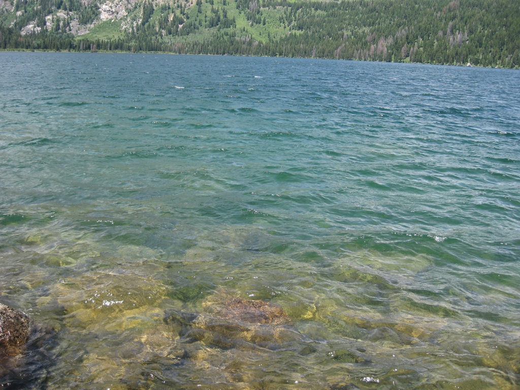 ... and more fierce... /