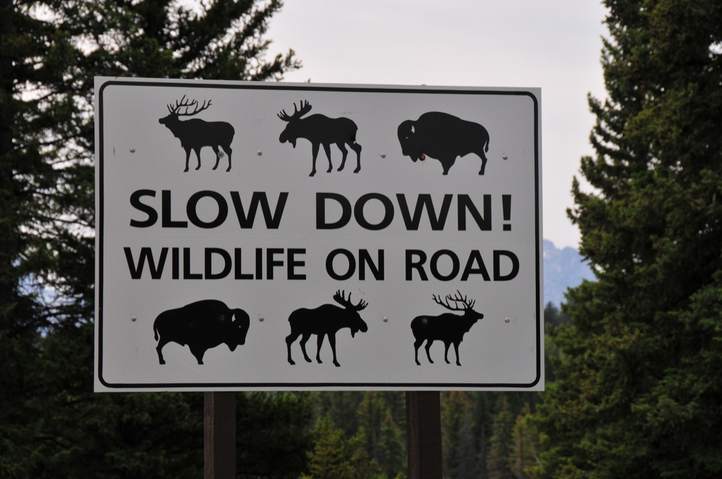 One could only hope/