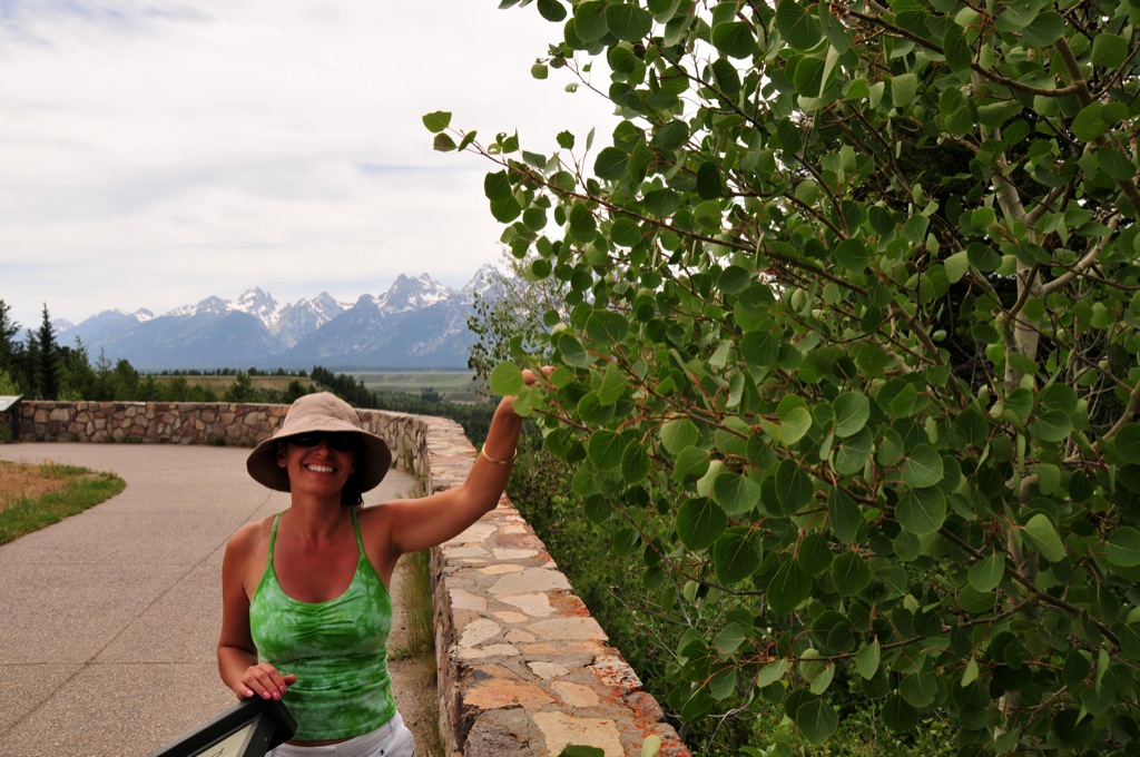 What is Assana doing? Who knows!/