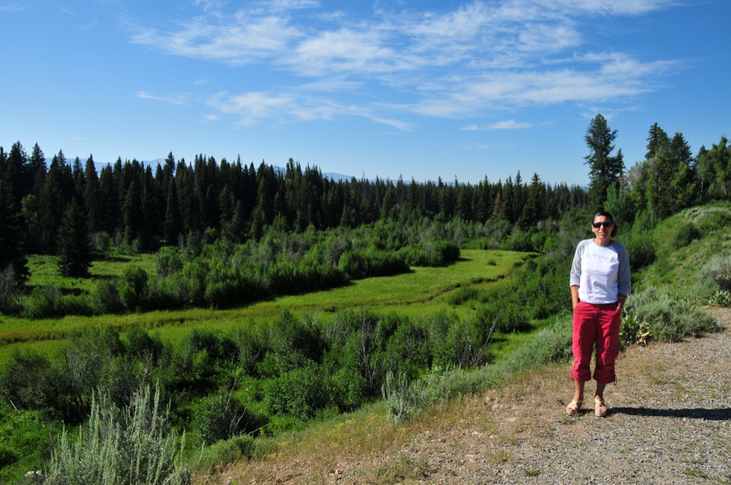 Looking for more moose.../