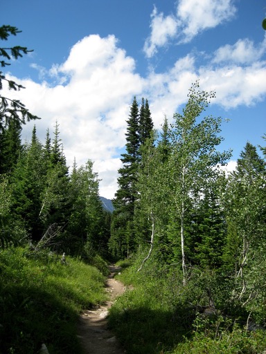 Trail between
    String and Leigh Lakes