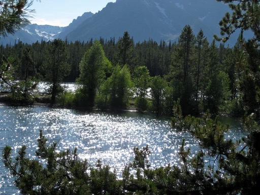 Jackson Lake
