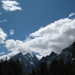 The road to Jenny Lake Lodge/
		    