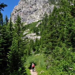 Cascade Canyon trail/
		    