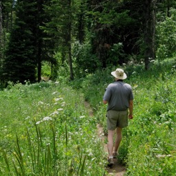 Dan and the trail/
		    