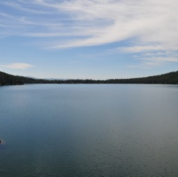 Very calm!/
		    