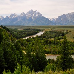 Snake River/
		    