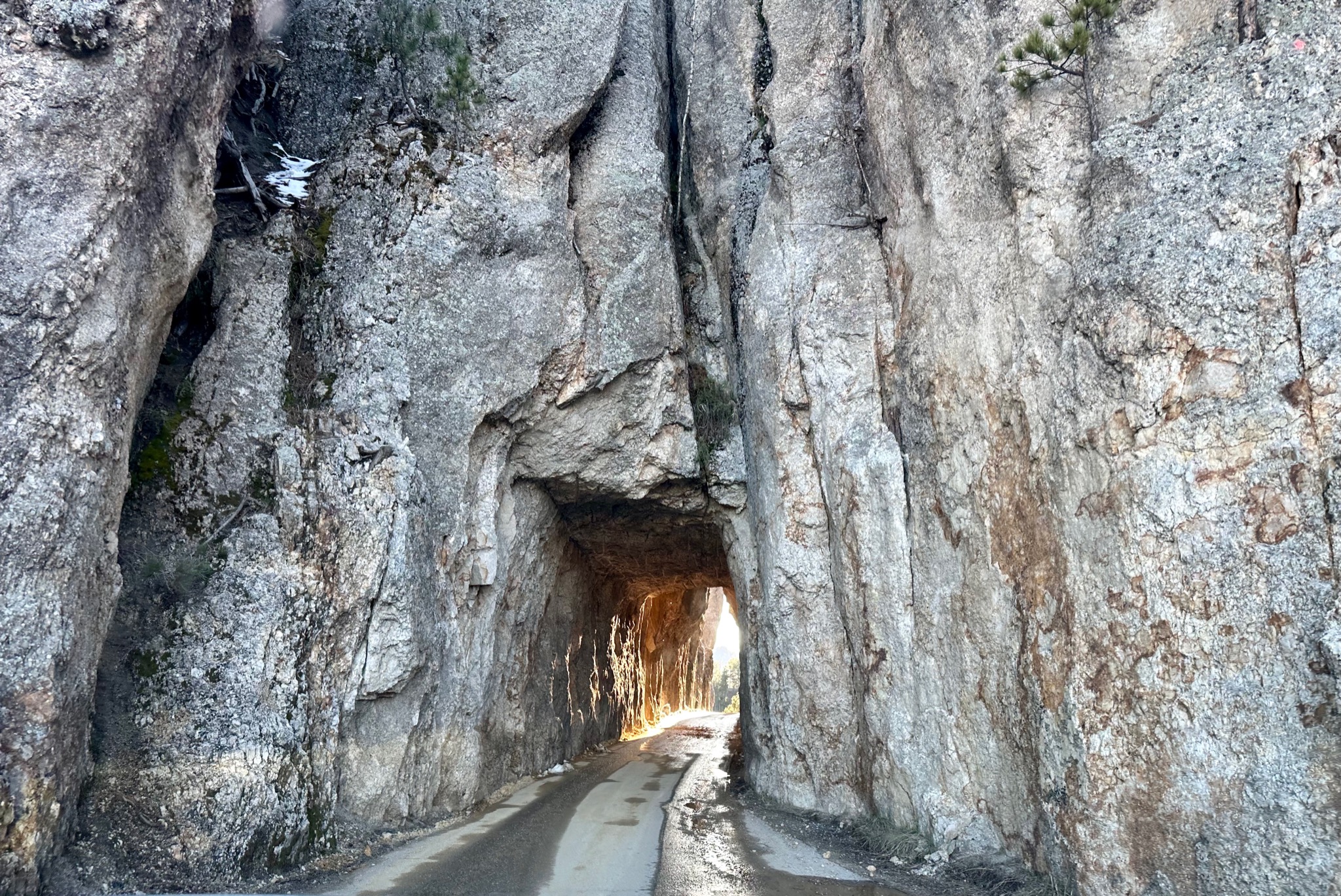 Needles Highway -  Custer State Park, SD/24581 SD-87, Custer, SD 57730, USA