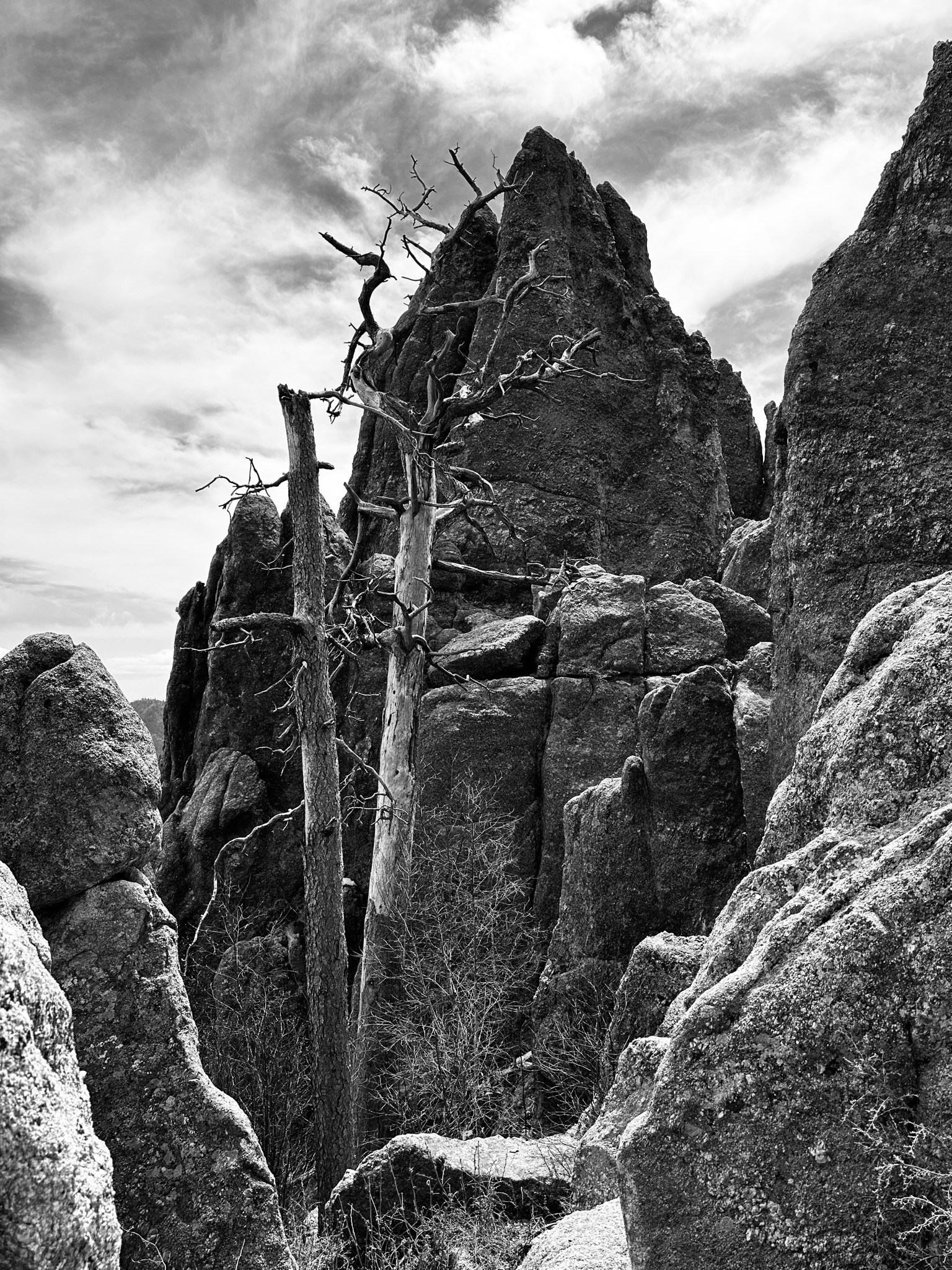Needles Highway - Custer State Park, SD/