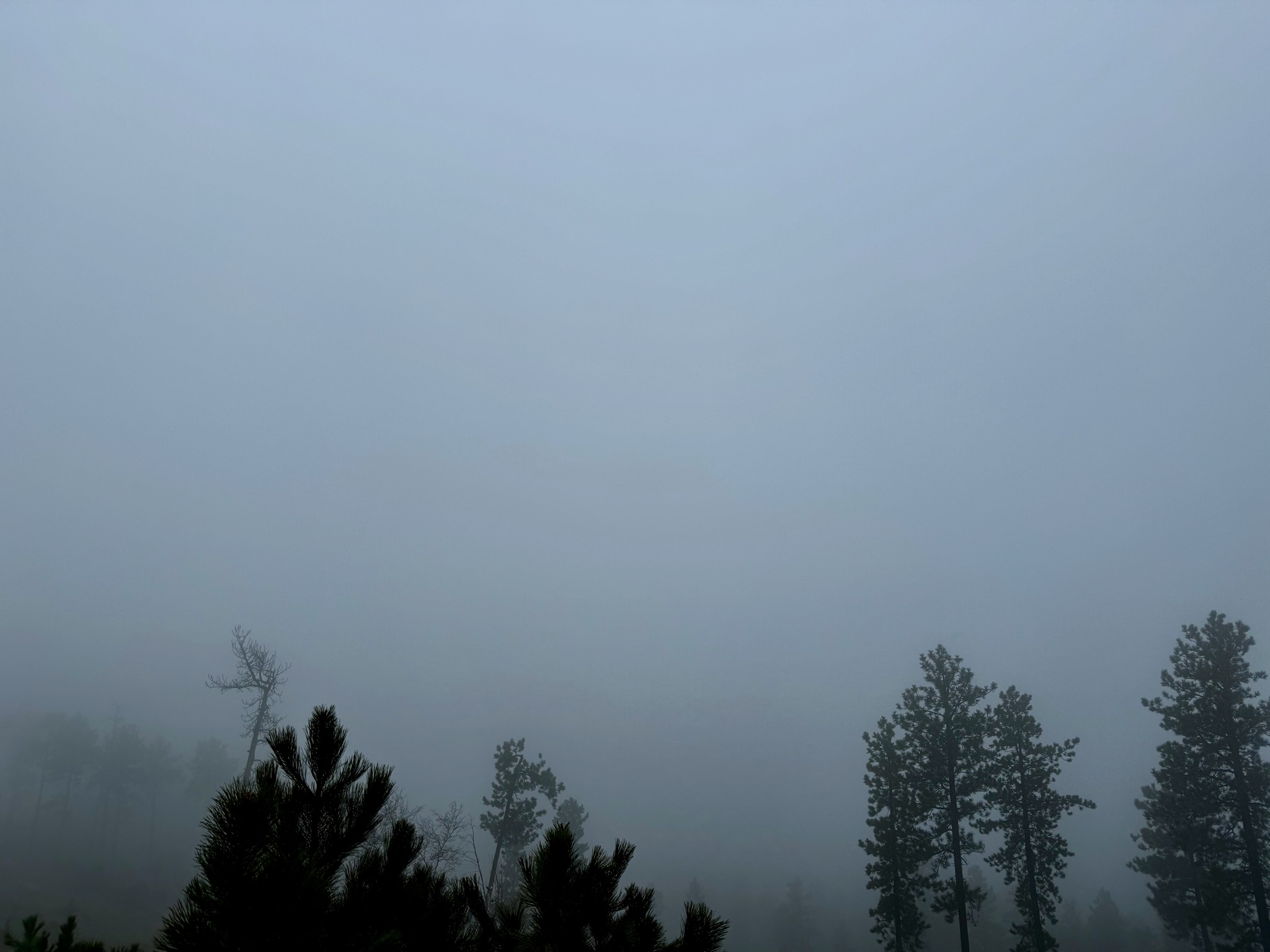 Leaving Custer... where did the sun go?!/518 SD-87, Custer, SD 57730, USA