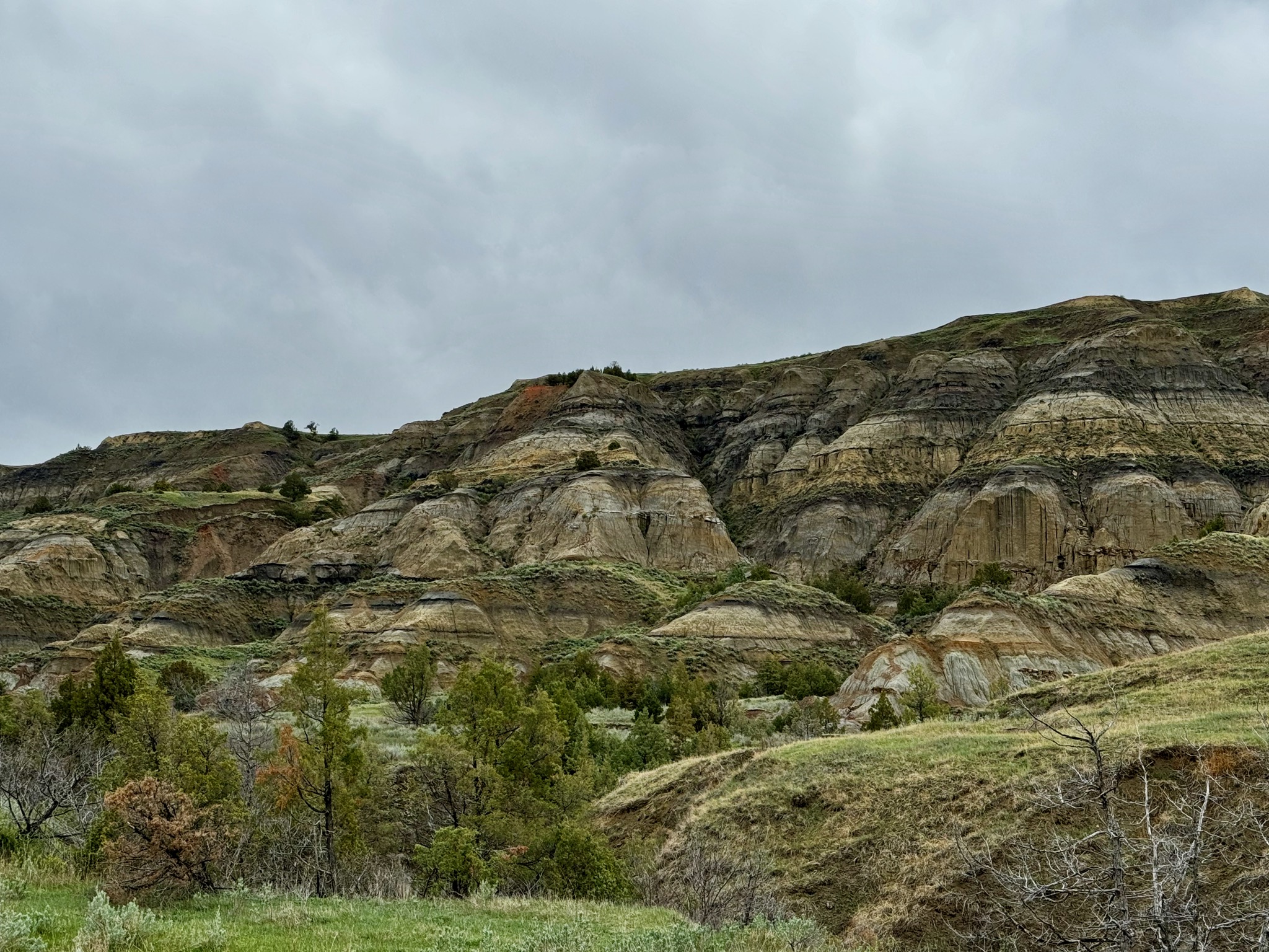 Painted Canyon Nature Trail - Teddy Roosevelt National Park, South Unit/