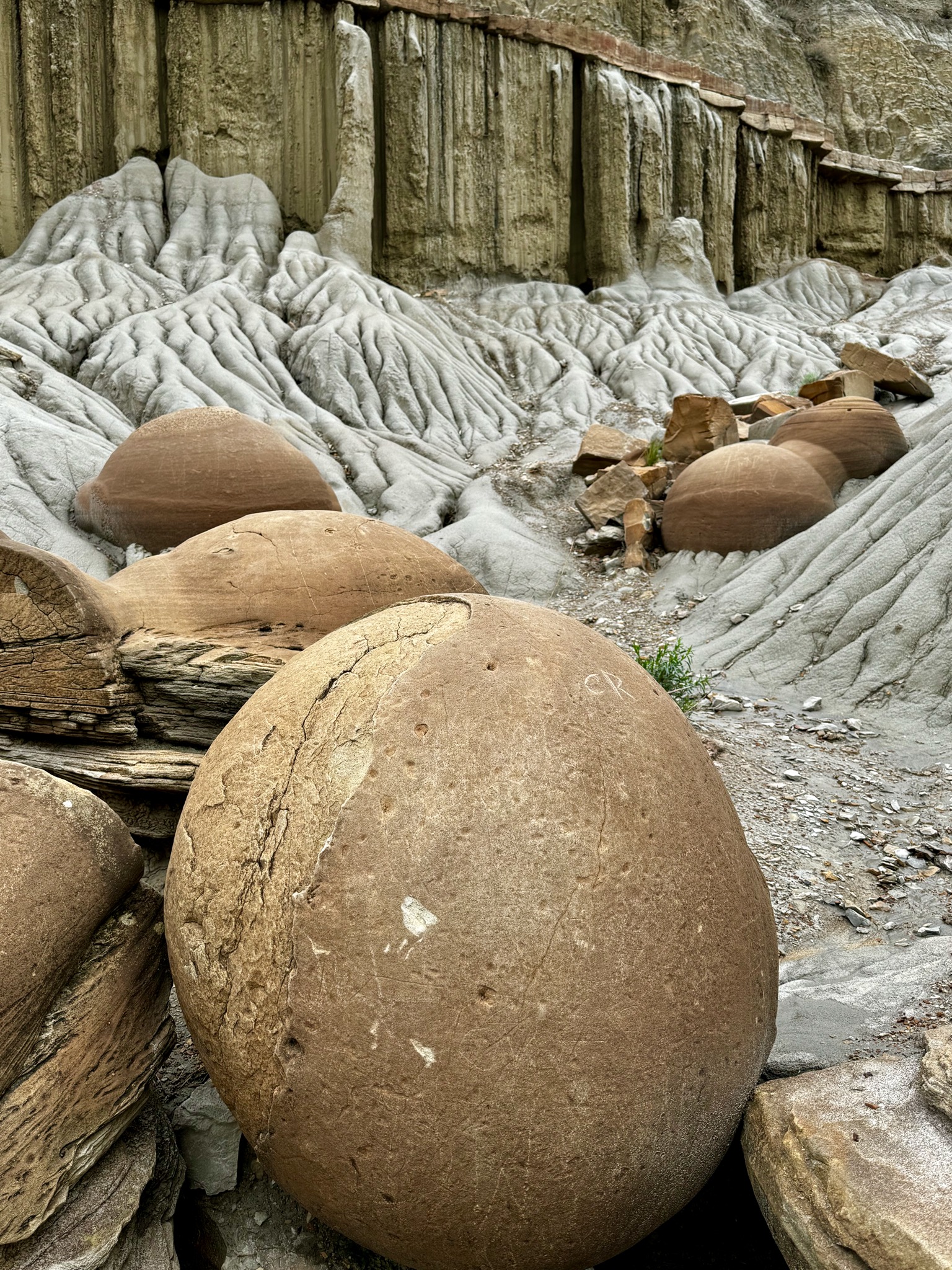 Cannonball concretions in T. Roosevelt NP, North Unit/239 Juniper Cp Rd, Grassy Butte, ND 58634, USA
