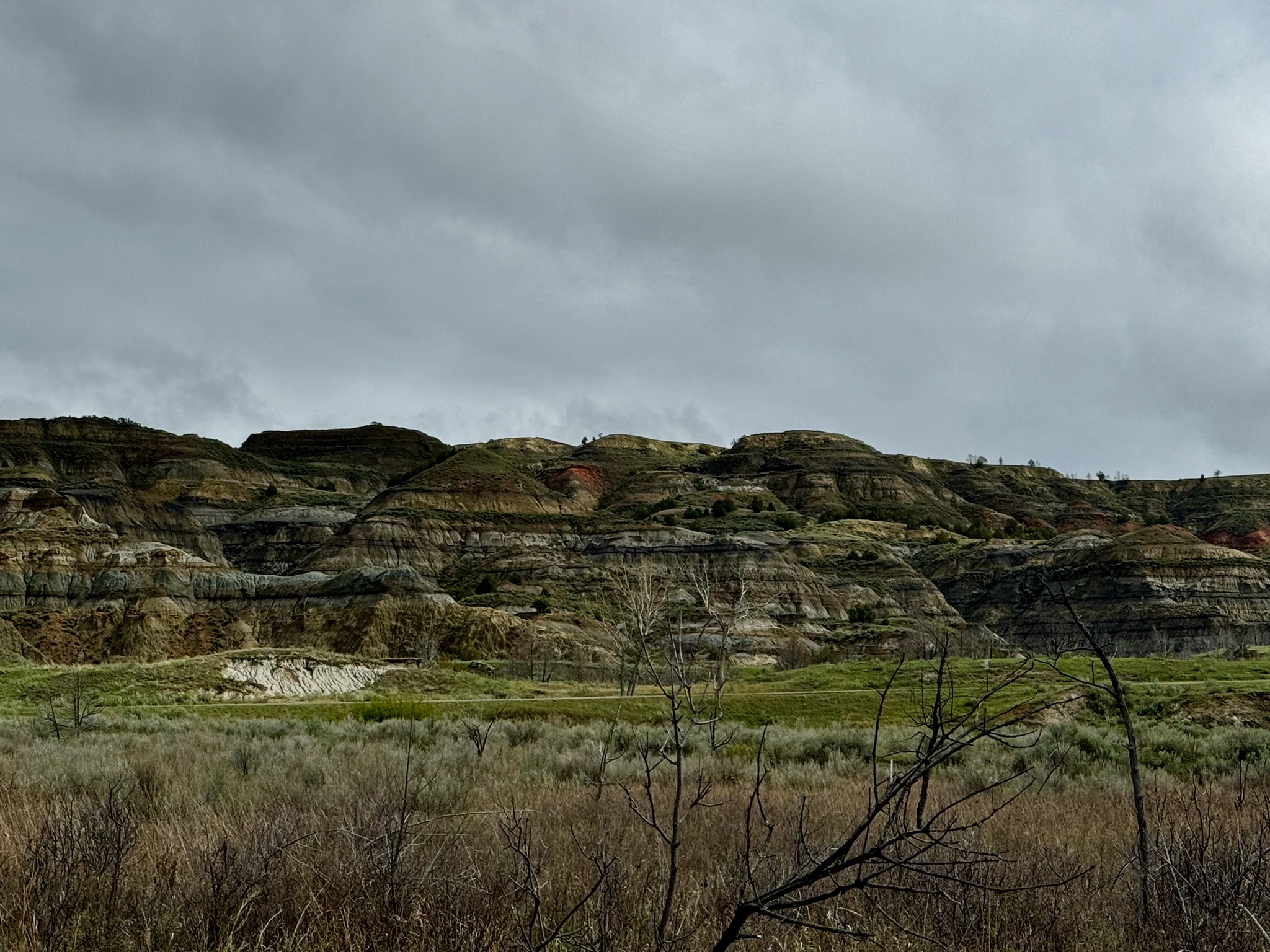 Little Missouri Nature Trail - T. Roosevelt NP, North Unit/239 Juniper Cp Rd, Grassy Butte, ND 58634, USA