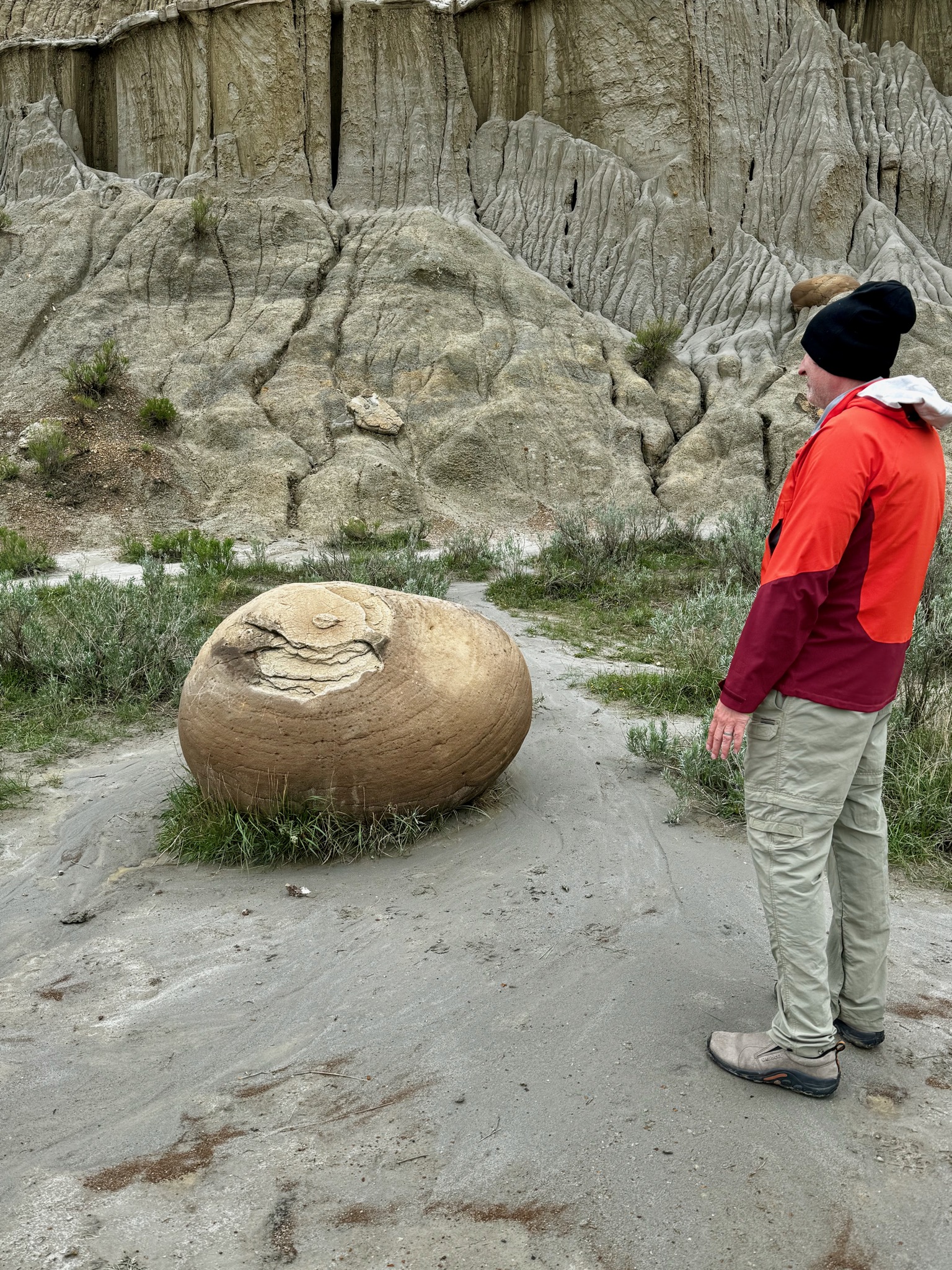Still pondering the balls/239 Juniper Cp Rd, Grassy Butte, ND 58634, USA