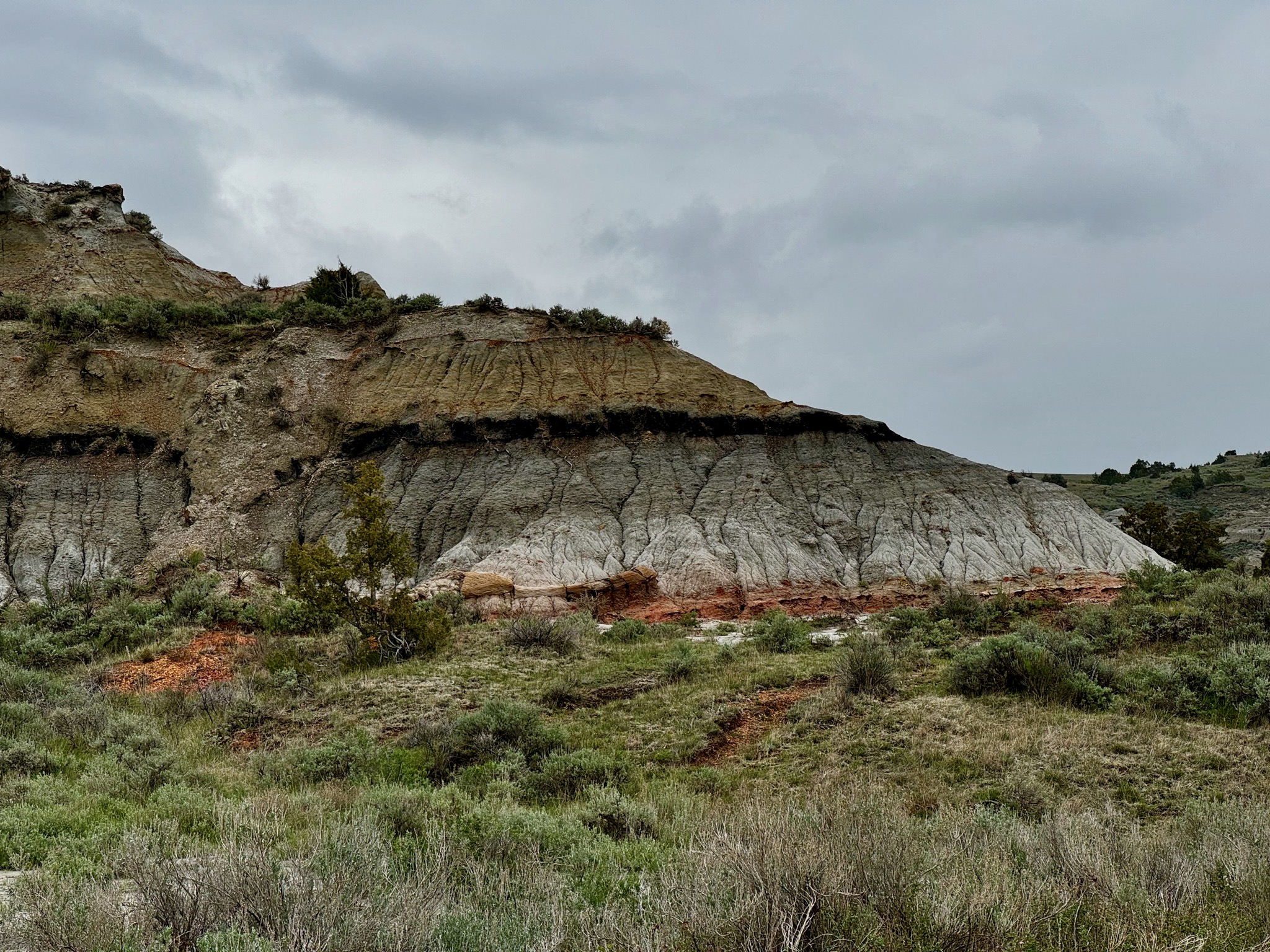 Scenic Loop Dr - T. Roosevelt NP, South Unit/