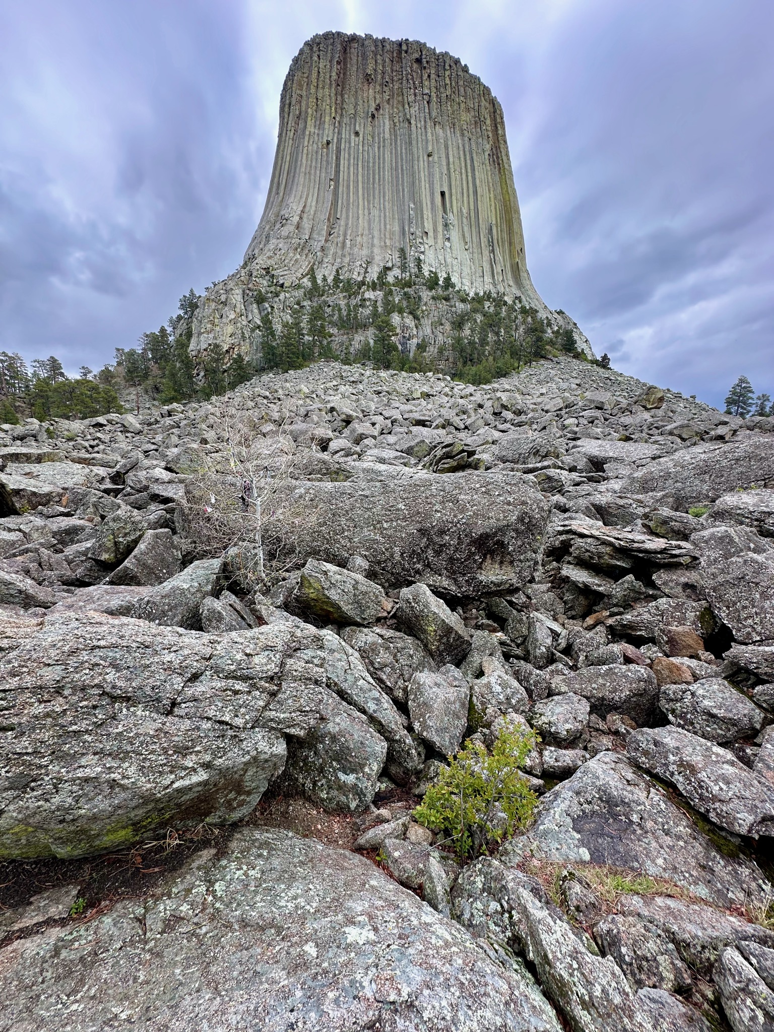 Different from each angle /336 Co Rd 174, Devils Tower, WY 82714, USA