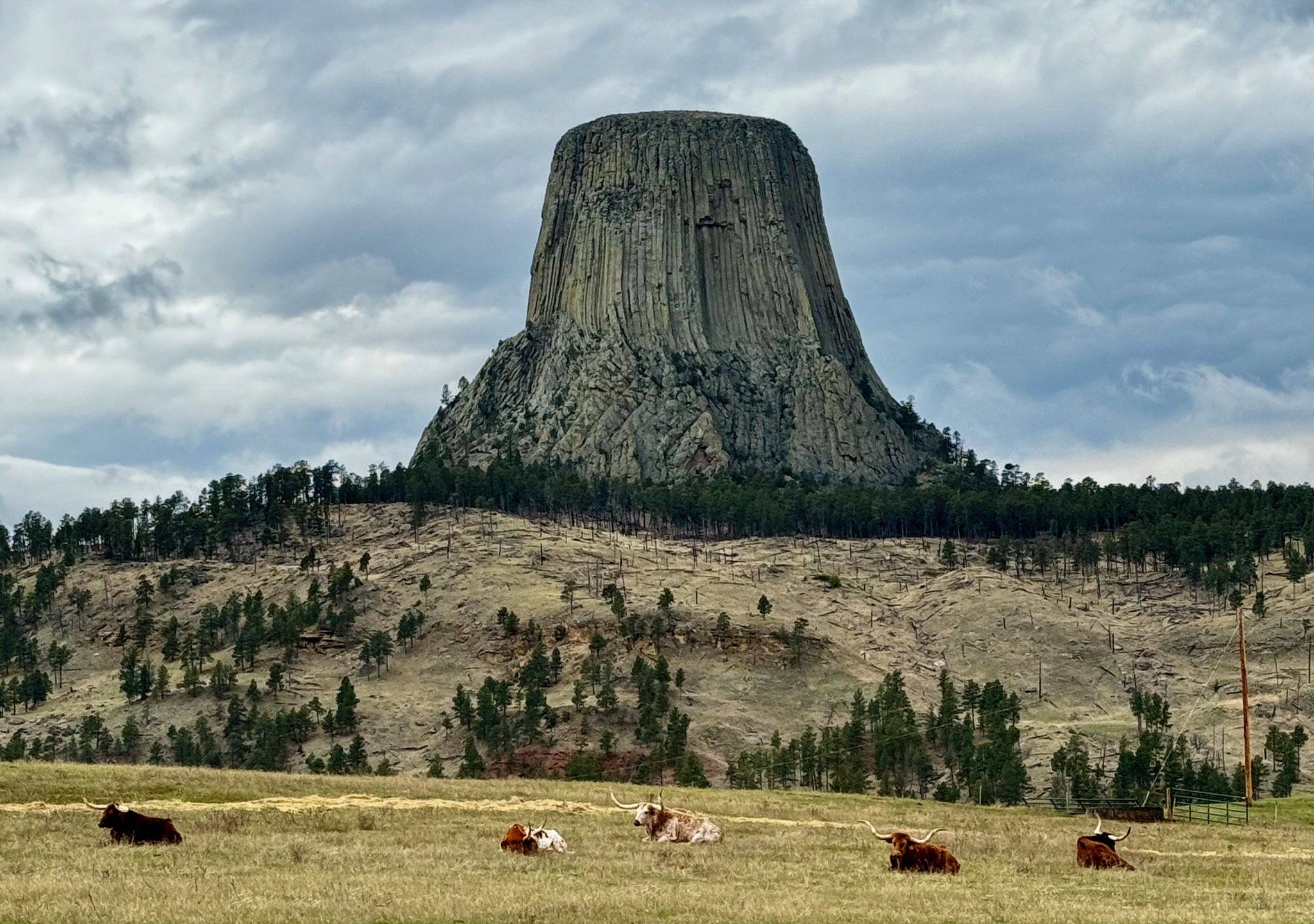 58 WY-110, Devils Tower, WY 82714, USA