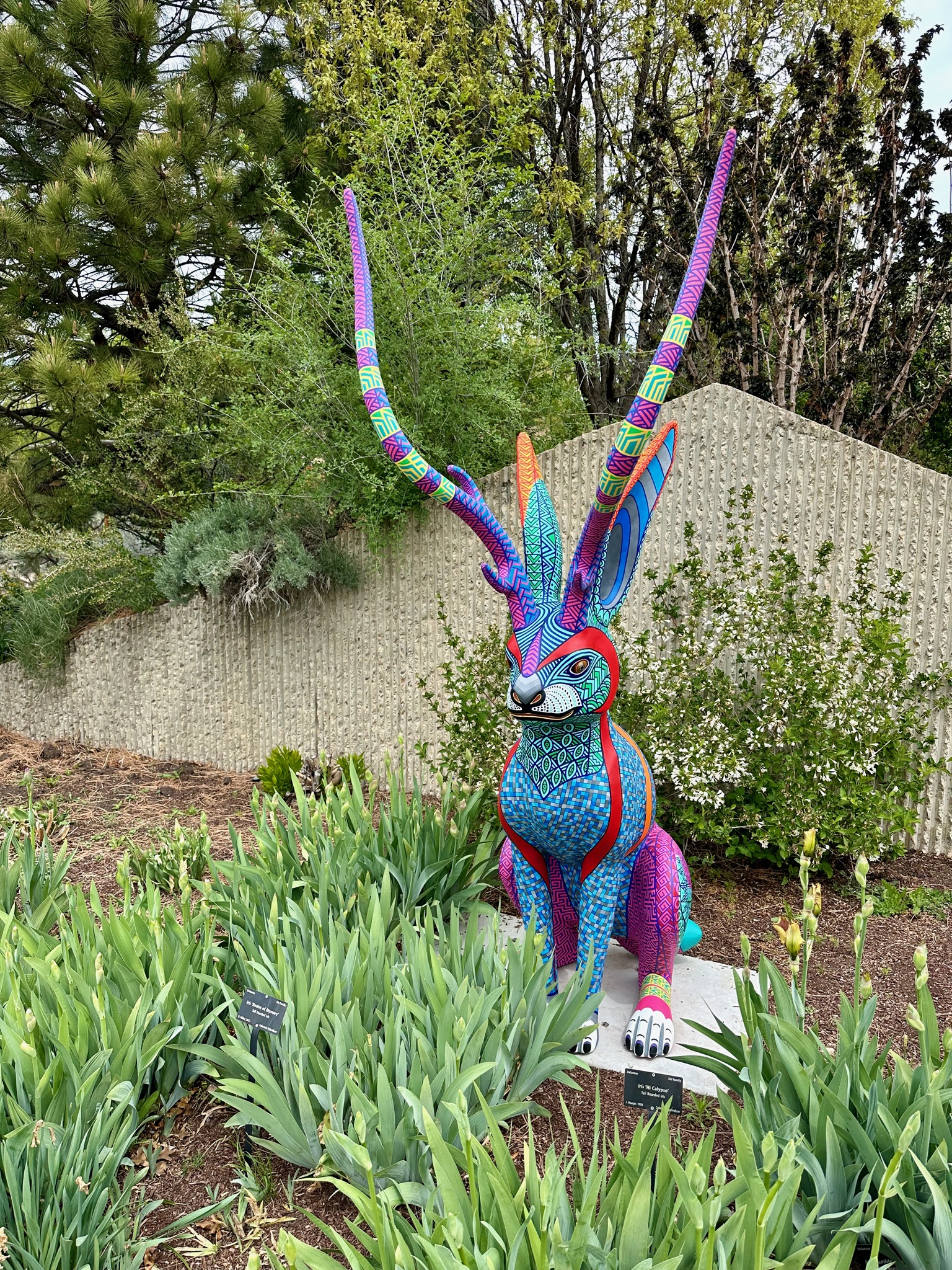 jackalope!/Denver Botanic Gardens, 1007 York St, Denver, CO 80206, USA