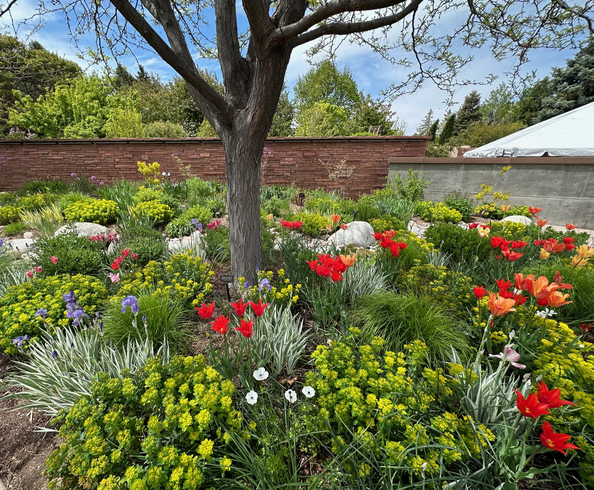 Beautiful gardens!/1007 York St, Denver, CO 80206, USA
