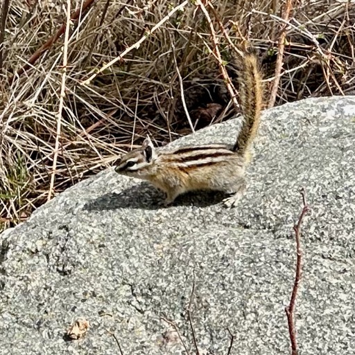 Teeny munchkin on Cathedral Spires Trail/
		    