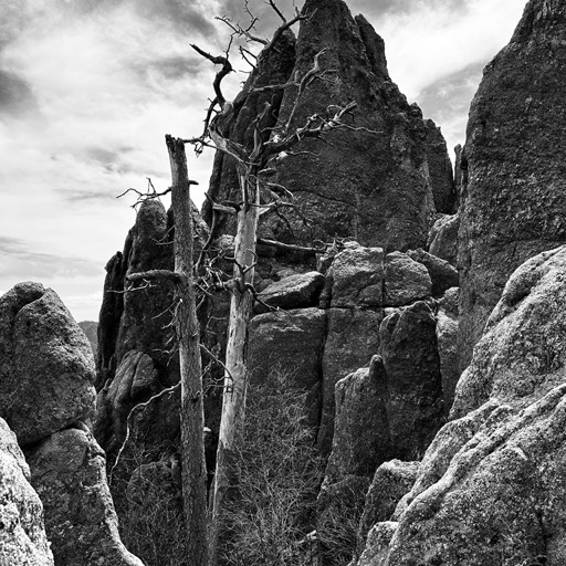 Needles Highway - Custer State Park, SD/
		    