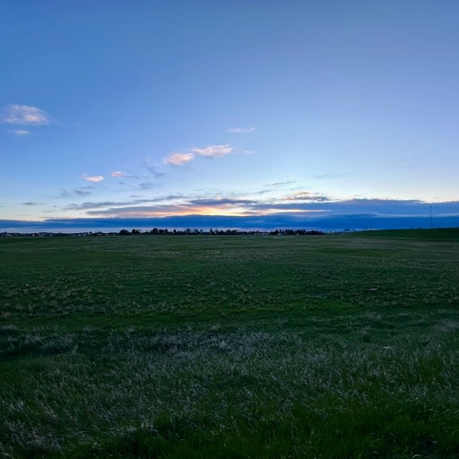 The view out of our cabin... as it was getting blown around by 70mph wind/
		    1101 Glenn St, Wall, SD 57790, USA