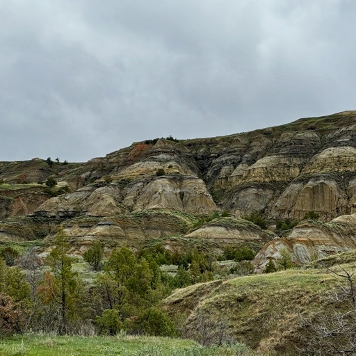 Painted Canyon Nature Trail - Teddy Roosevelt National Park, South Unit/
		    