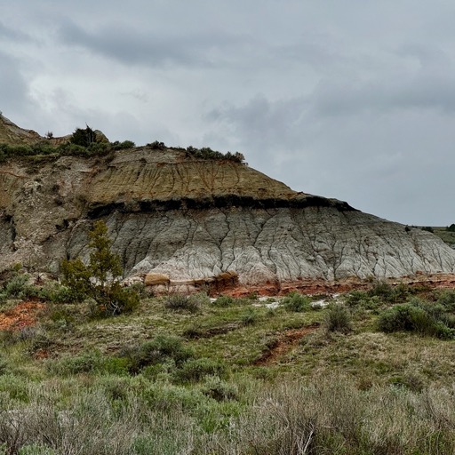 Scenic Loop Dr - T. Roosevelt NP, South Unit/
		    
