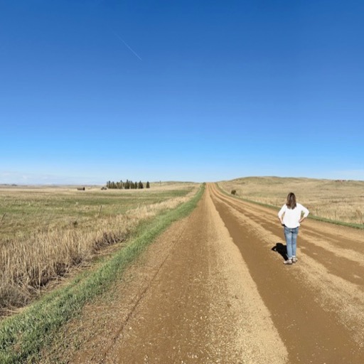 Bright side: we can stop smack in the middle of the road for photos/
		    132 Black Diamond Rd, Wibaux, MT 59353, USA
