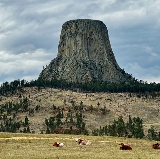 
		    58 WY-110, Devils Tower, WY 82714, USA