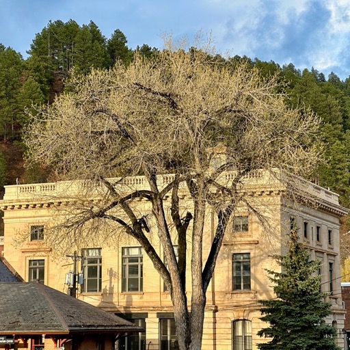 
		    700 US-85, Deadwood, SD 57732, USA