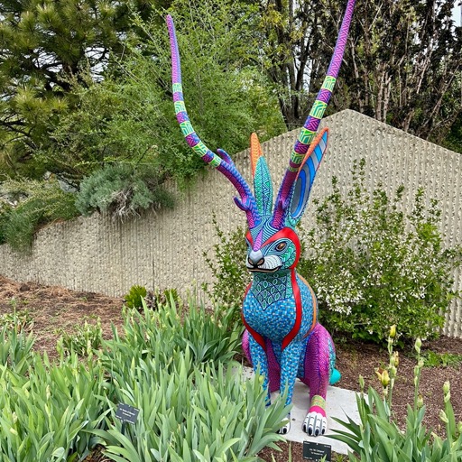 jackalope!/
		    Denver Botanic Gardens, 1007 York St, Denver, CO 80206, USA