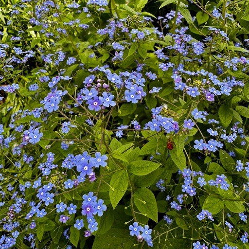 
		    Denver Botanic Gardens, 1007 York St, Denver, CO 80206, USA