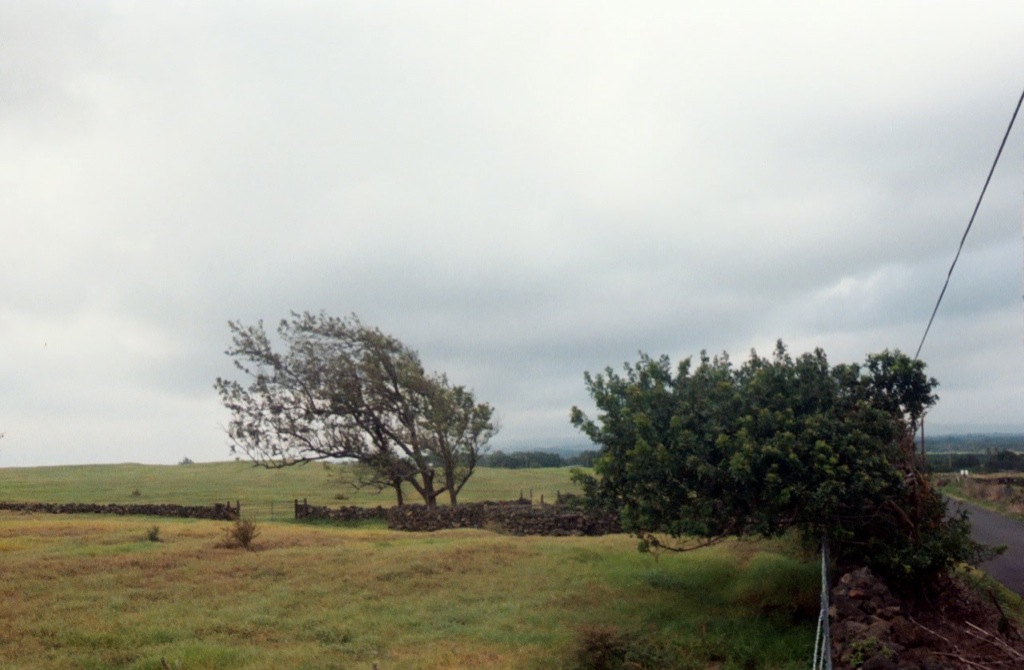 The road to the tip/