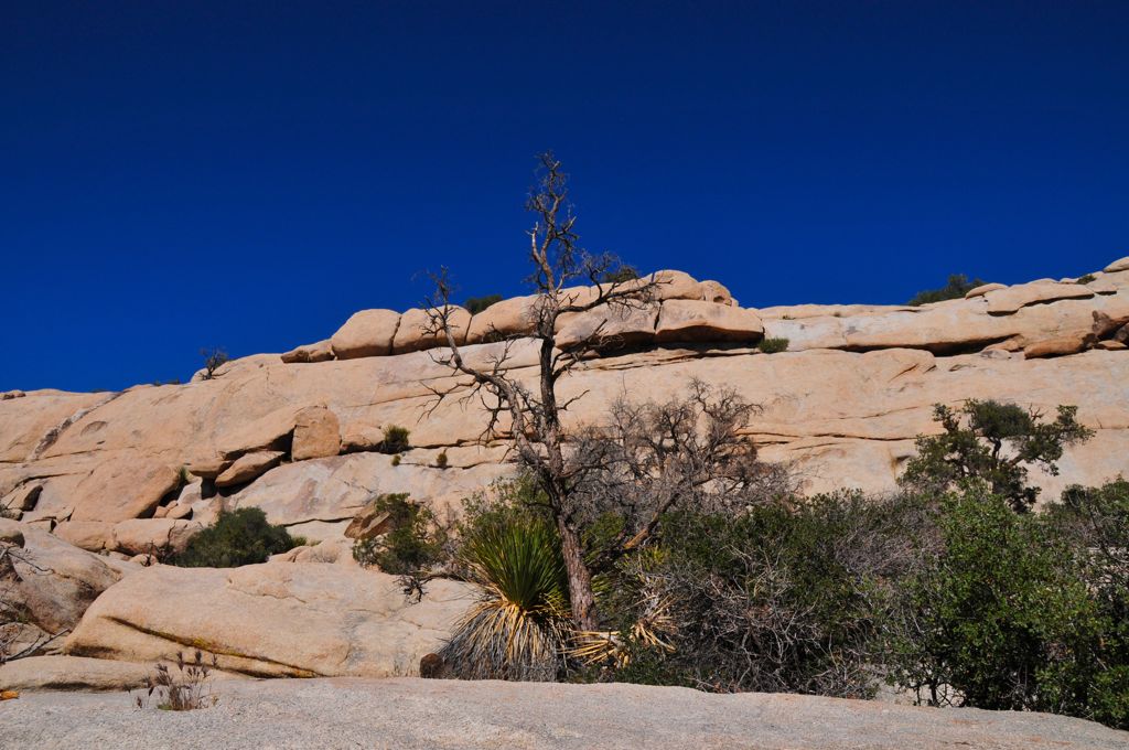Hidden Valley Trail/