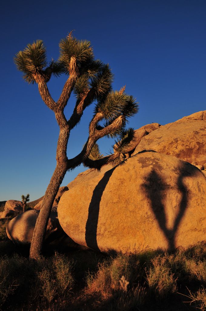 Rocks in the sunset/