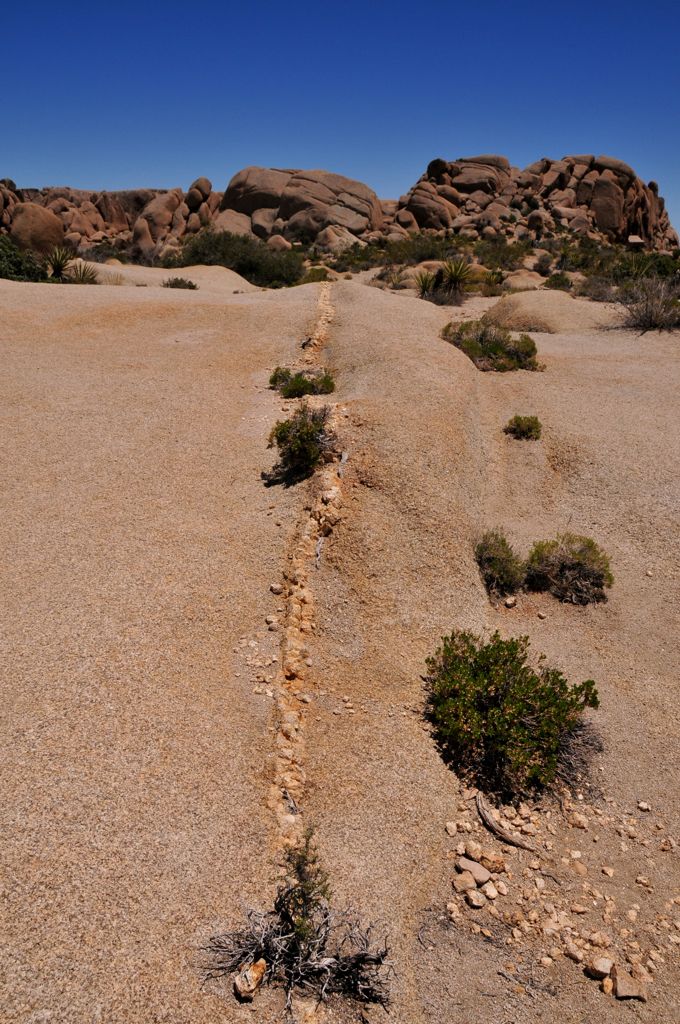 A "seam" the will soon become a crack - like in a billion years (unless Jesus says otherwise)/