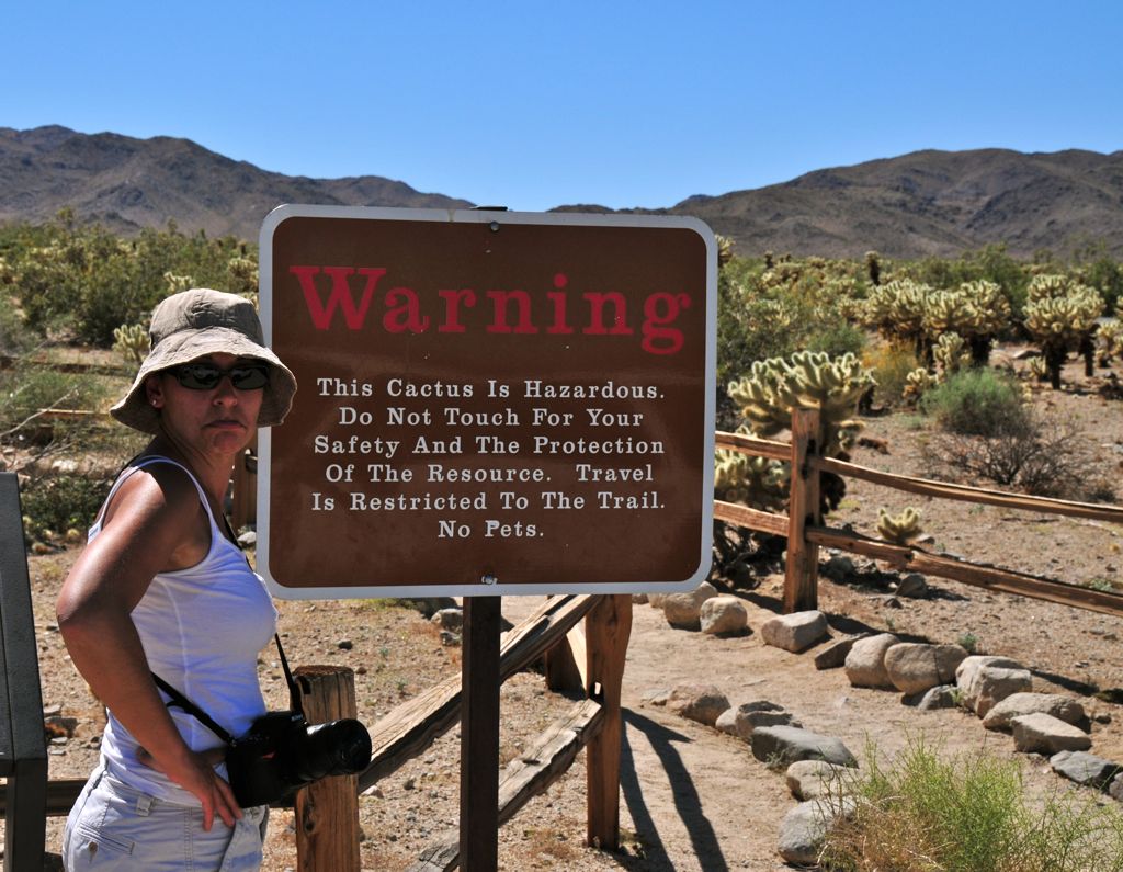 Entering the Cholla garden... Assana, she's no happy!/