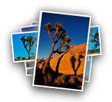 Joshua Tree NP, CA