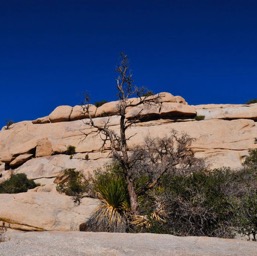 Hidden Valley Trail/
		    