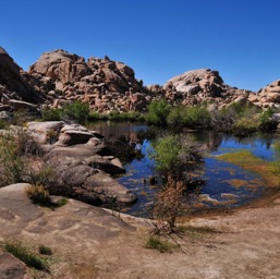 First lake on Barker Dam Trail/
		    