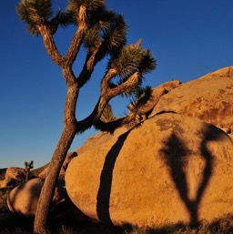 Rocks in the sunset/
		    