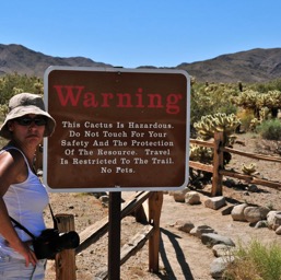 Entering the Cholla garden... Assana, she's no happy!/
		    