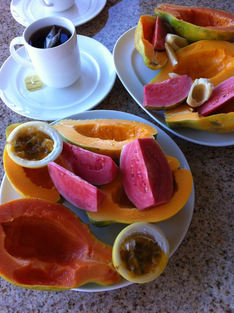 Breakfast: guavas, papaya, and a bunch of fruit we didn't know! Good bye Hawai'i!/
